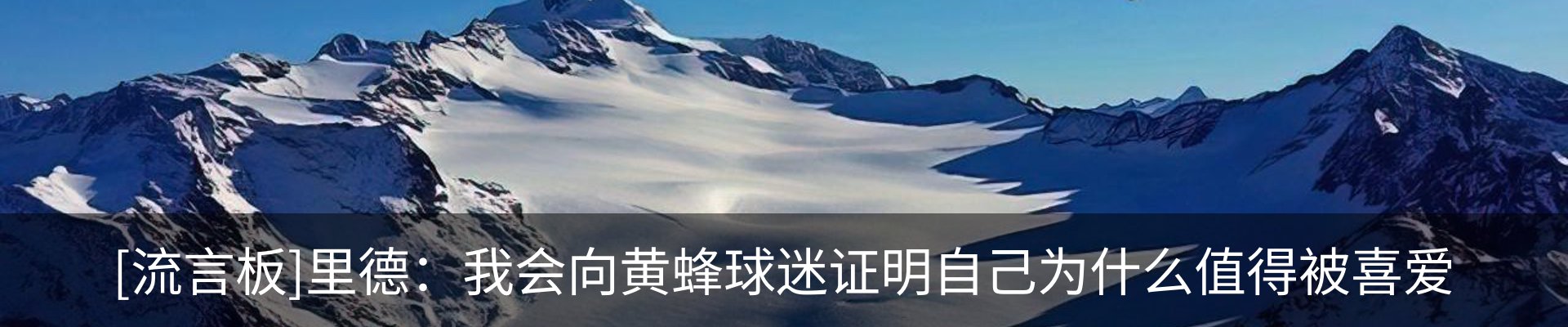 新闻动态
